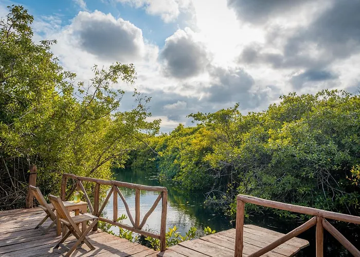 Hotel Manglex Eco