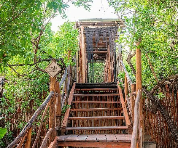 Manglex Eco Hotel