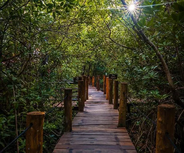 Manglex Eco 3* Tulum