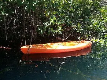Hotel Manglex Eco Tulum