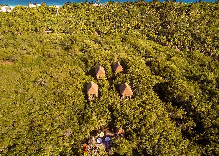 Manglex Eco Tulum