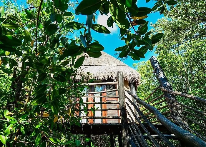 Manglex Eco Hotel