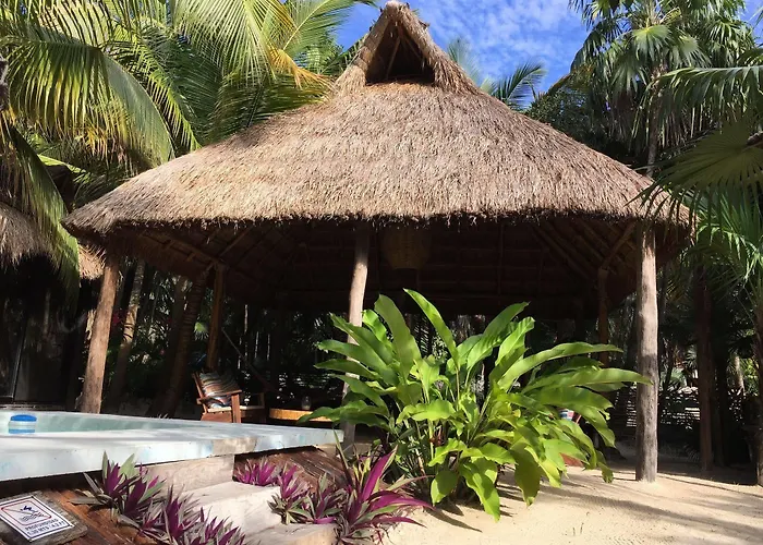 Hotel Manglex Eco 3*