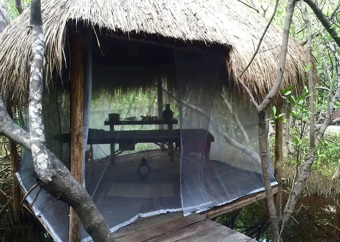 Hotel Manglex Eco
