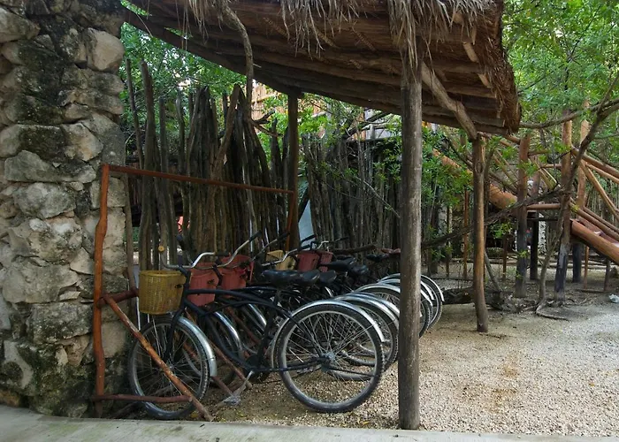 Manglex Eco 3* Tulum